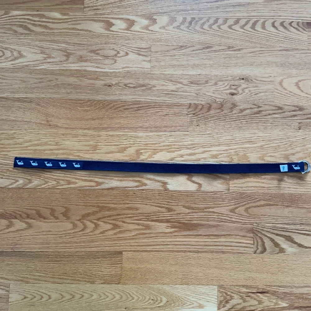 A. Tierney Kid's Whale D-Ring Belt (L)